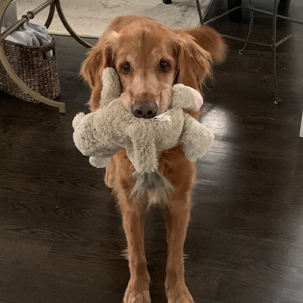 Meet your Posher, Matt